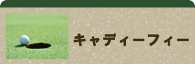 キャディフィー